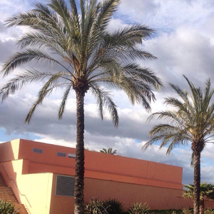 草莓视频黄色免费下载
